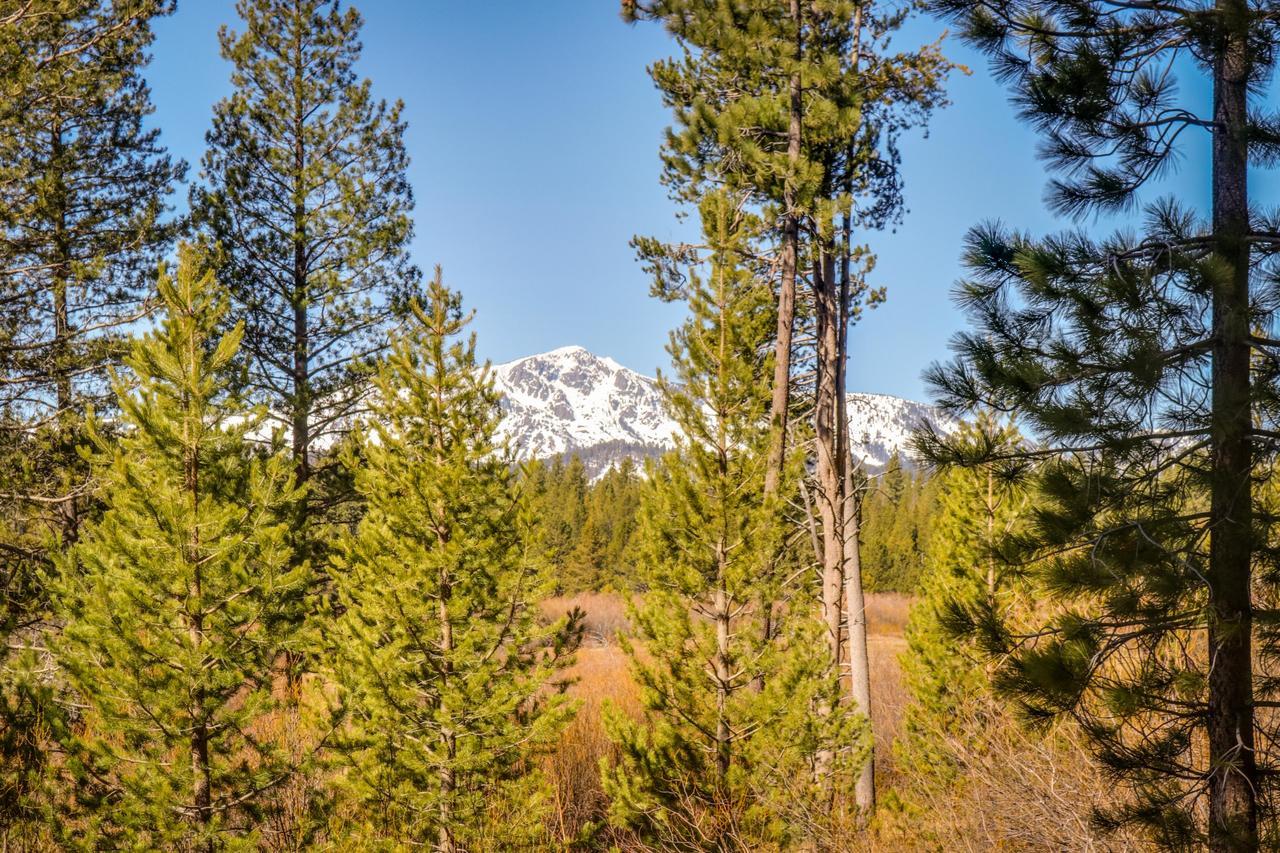 Cozy Seclusion Villa South Lake Tahoe Eksteriør billede